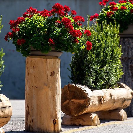 La Truga Hotel Sëlva di Val Gardena Eksteriør billede