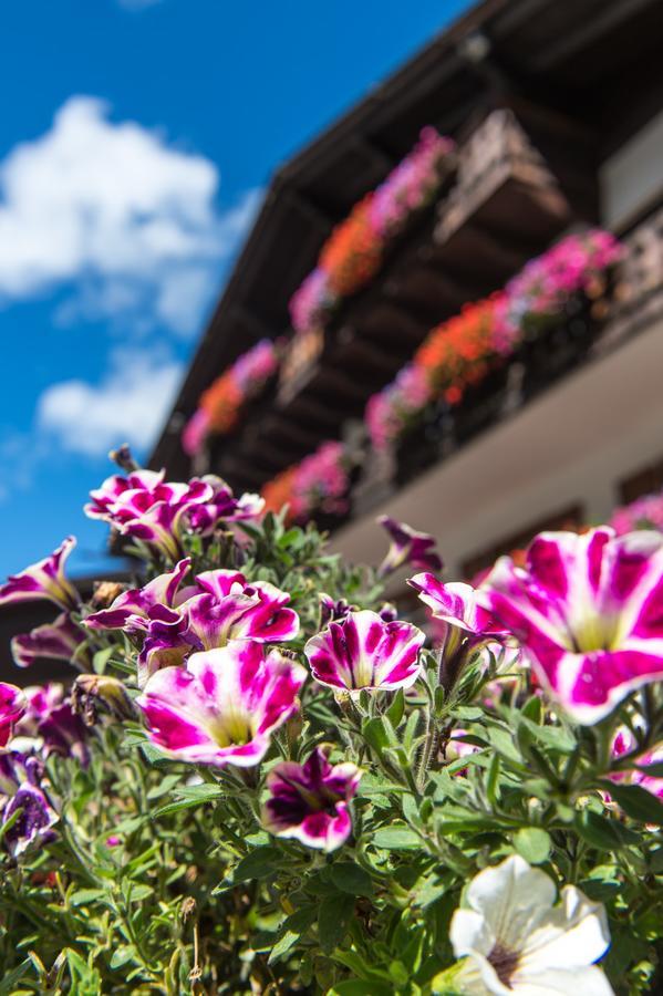 La Truga Hotel Sëlva di Val Gardena Eksteriør billede
