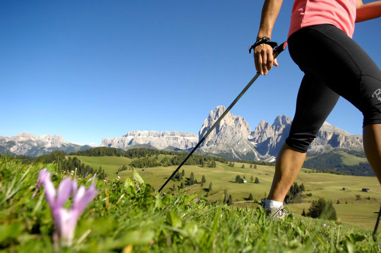 La Truga Hotel Sëlva di Val Gardena Eksteriør billede